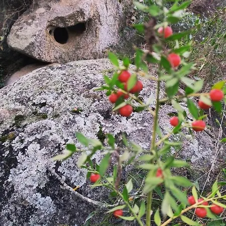 Su Skusorgiu Apartment *